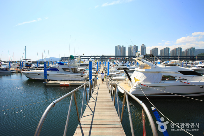 Centre de voile de la baie de Suyeong à Busan (수영만 요트경기장)6