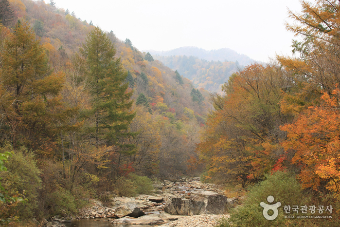 오대산국립공원 사진4