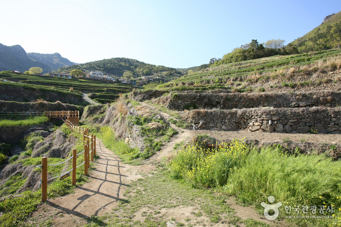Daraengi Village (가천 다랭이마을)