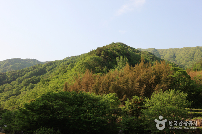 Nationalpark Jirisan (Hadong)  (지리산국립공원(하동))