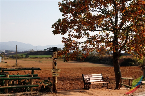 Borinara Hagwon Farm (보리나라 학원농장)