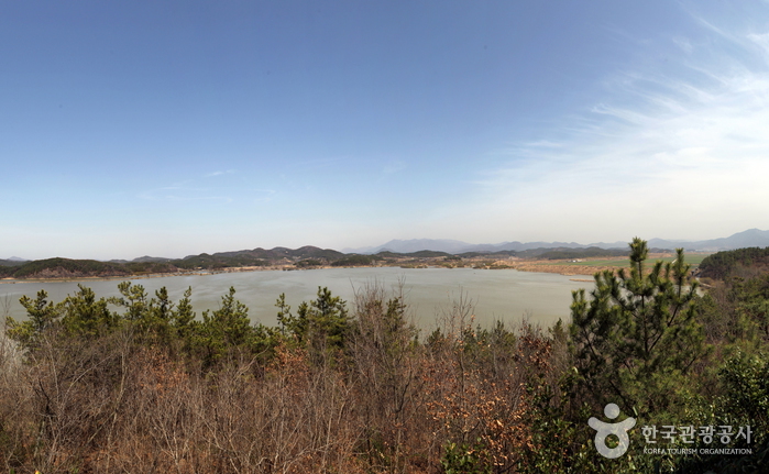 창녕 우포늪 사진8
