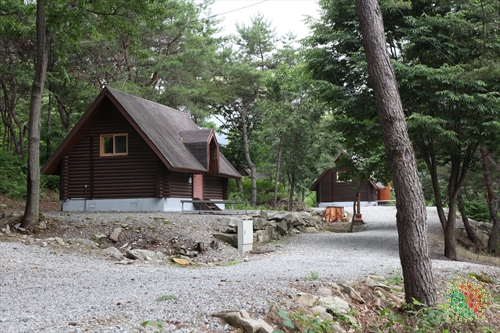 Bonghwang Natural Forest (봉황자연휴양림)