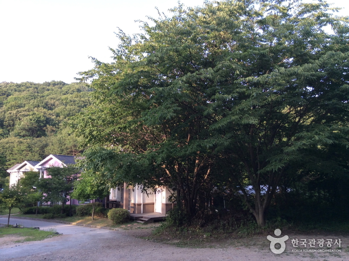 오크스톤펜션(둥지가온빌)0