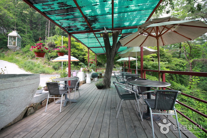 커피 반 (coffee bann)7