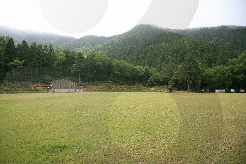 Nationaler Erholungswald Namhae Pyeonbaek (국립 남해편백자연휴양림)