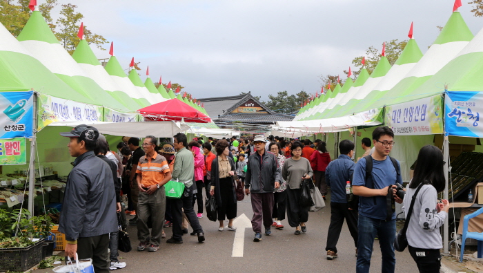 [최우수축제] 산청한방약초축제 2017 