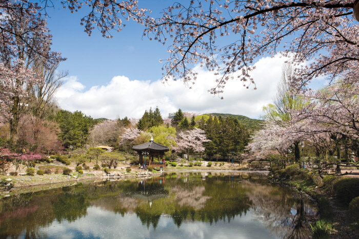 보문정 (경주) 사진1