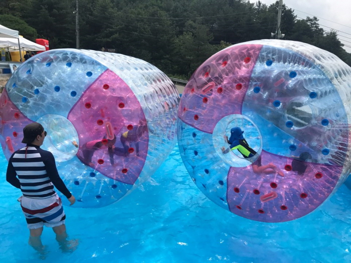 양주 유수풀 20196