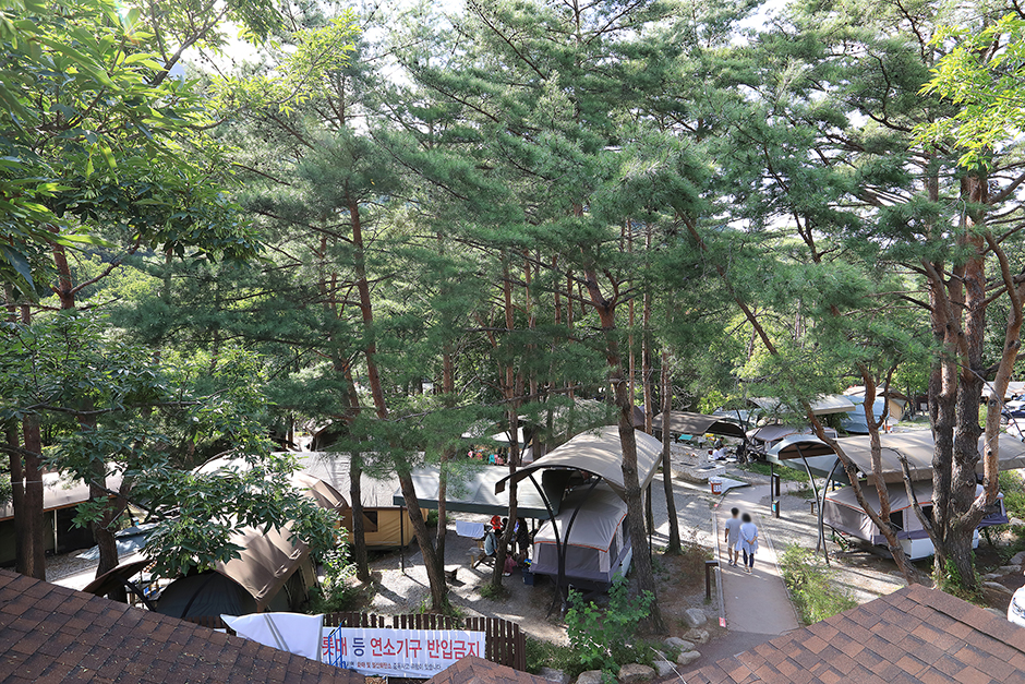 월악산국립공원 닷돈재 자동차야영장1