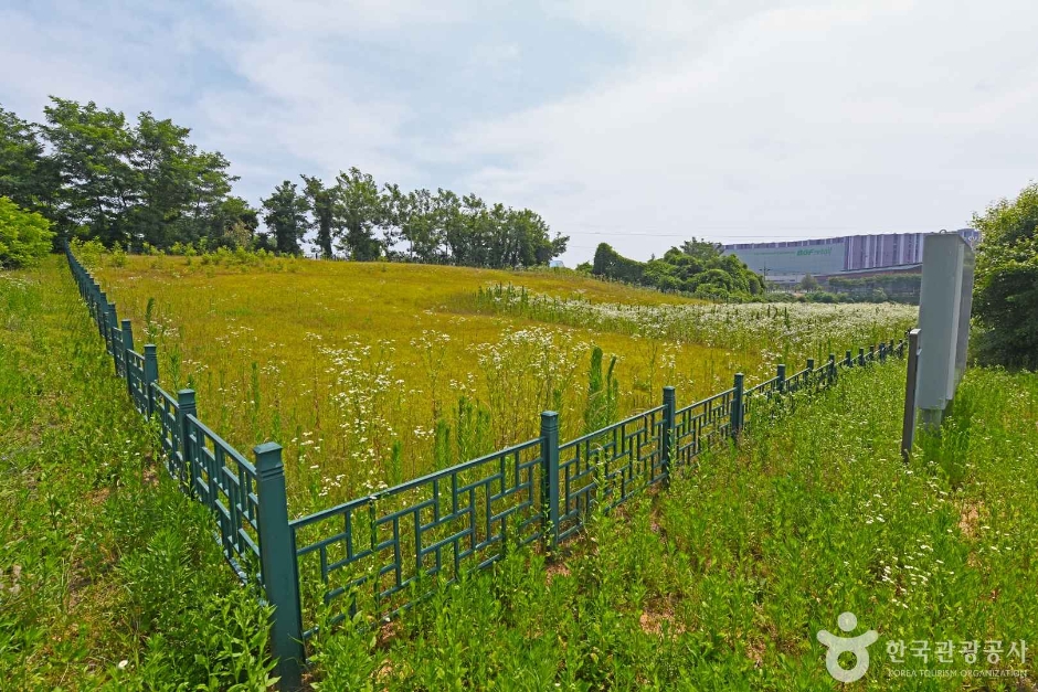 진천 산수리와 삼용리 요지