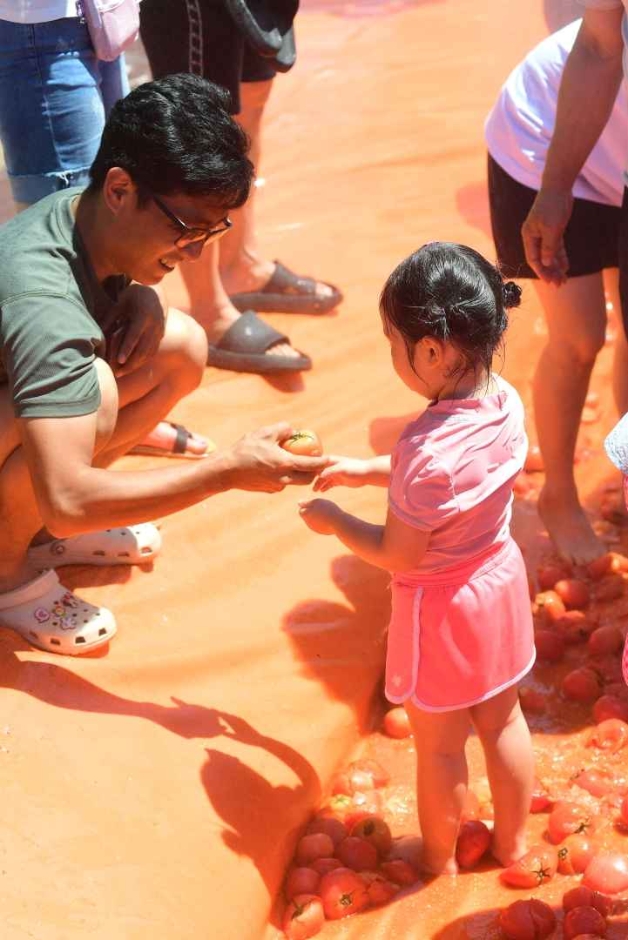 Hwacheon Tomato Festival (화천토마토축제)