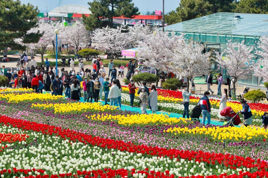 Korea Flower Park (코리아플라워파크)