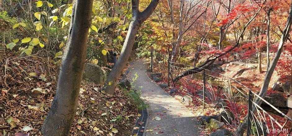 곤지암리조트 힐링캠퍼스