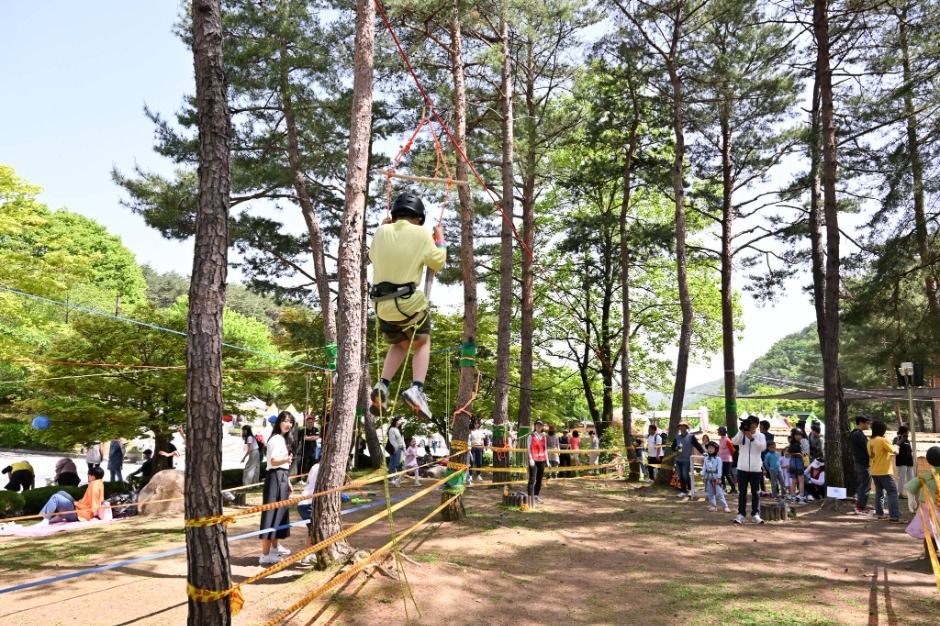 2025 양평 용문산 산나물축제 4