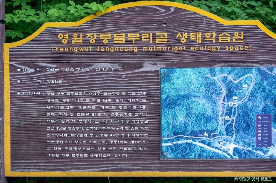 물무리골생태습지