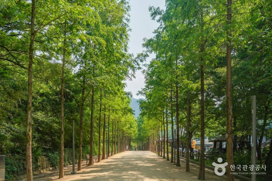 앞산자락길