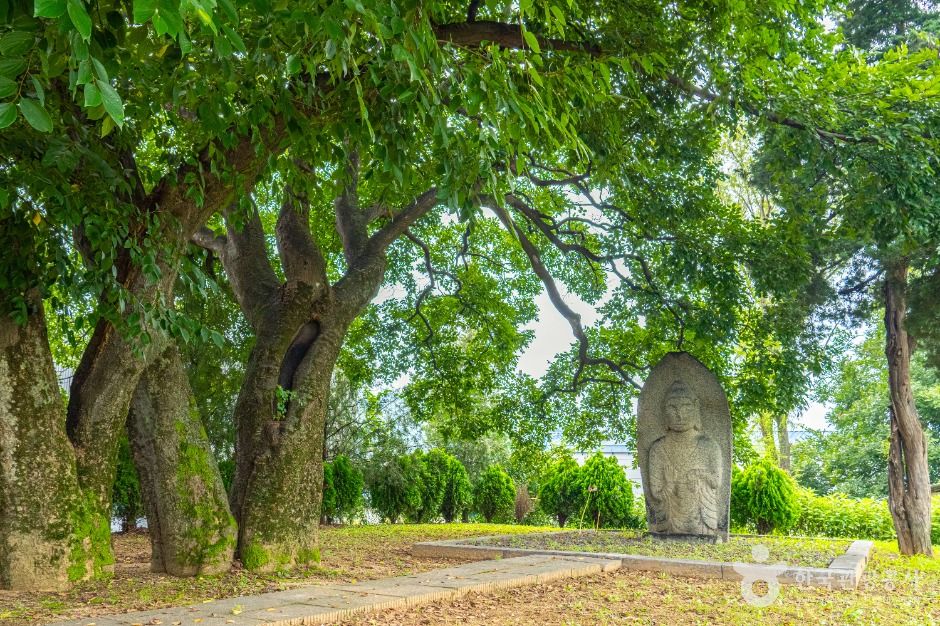 thumbnail-양성 석조여래입상-10