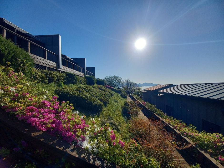 남해_빈센트펜션 (4)