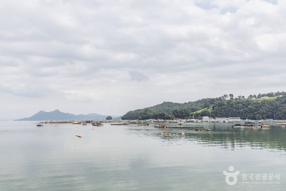 남해_장포항 (1)