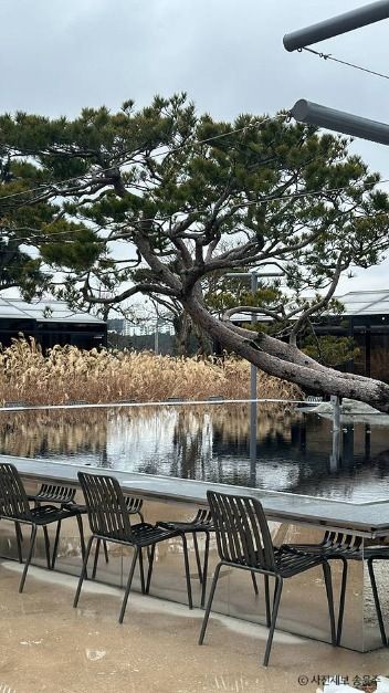 강릉_엔드투앤드 (3)