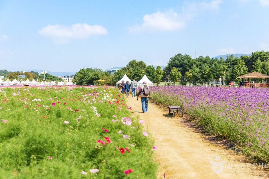 thumbnail-나리농원-10