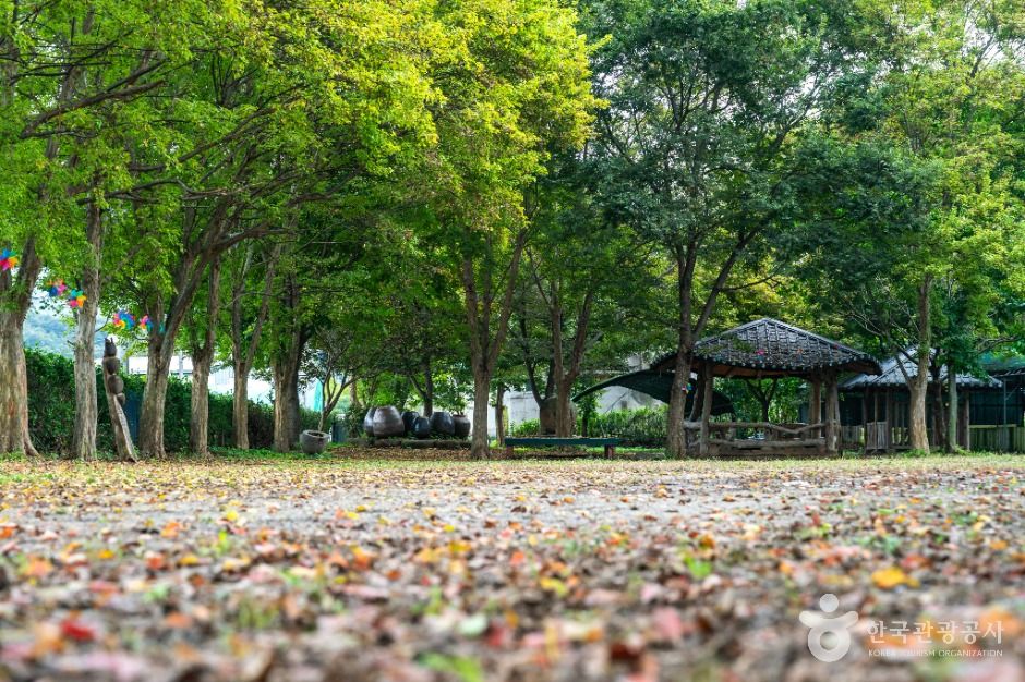 대구_구암팜스테이마을 (2)