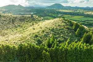 제주_손지오름 (8)