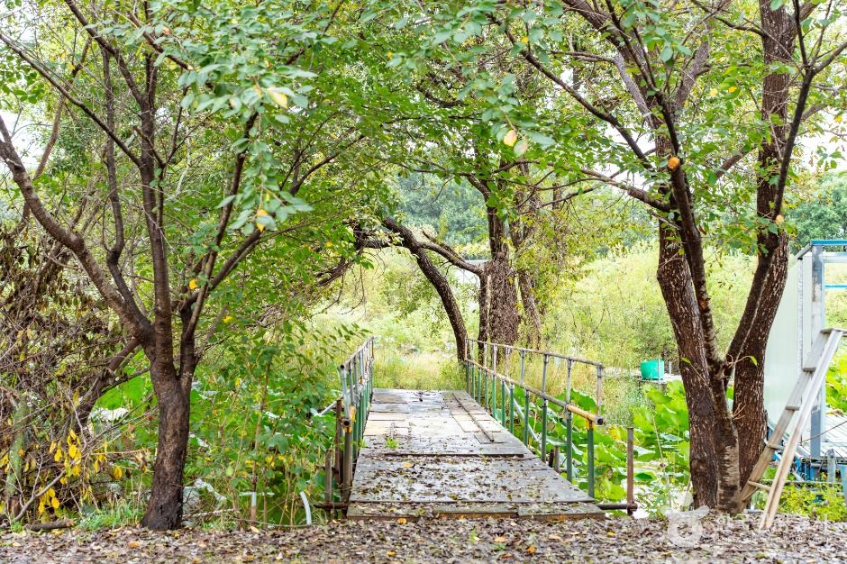 thumbnail-꾀꼴성마을-2