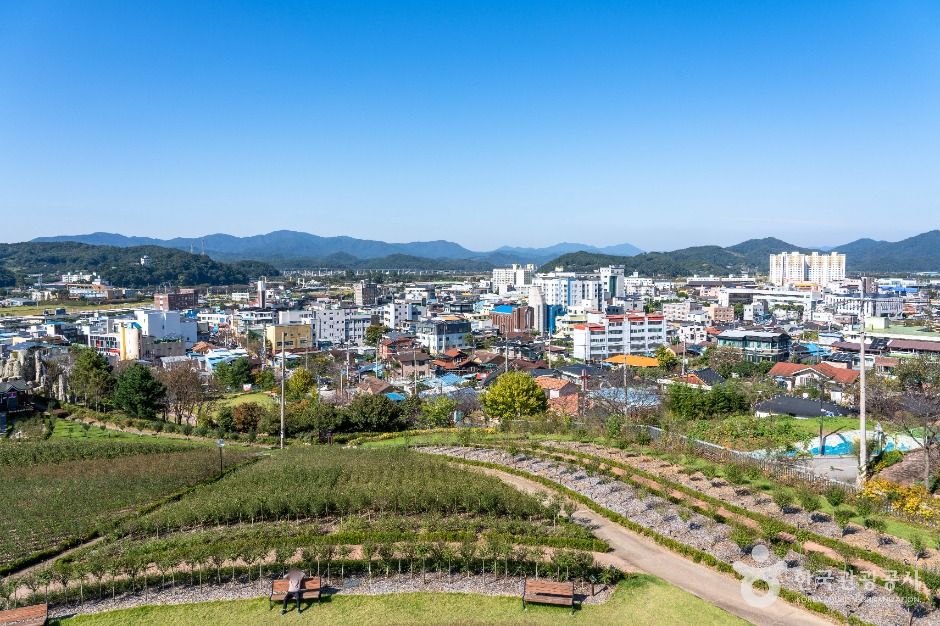 장성무궁화공원