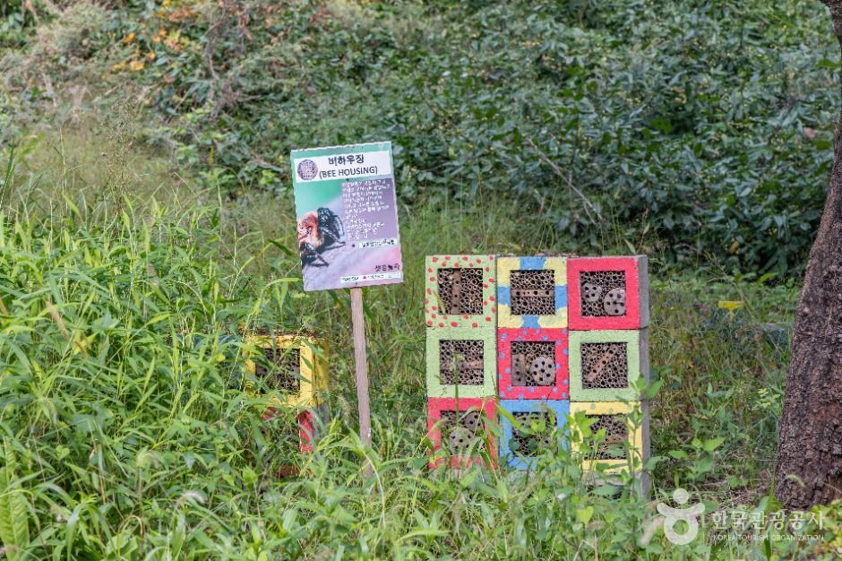 thumbnail-여의도샛강생태공원-11