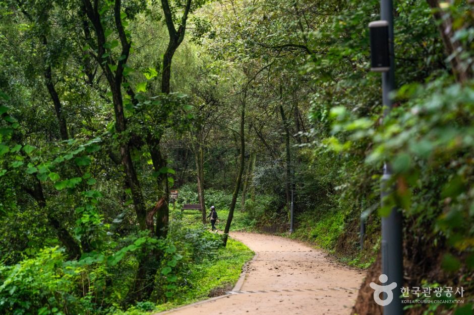 [대구올레 팔공산 6코스] 단산지 가는 길