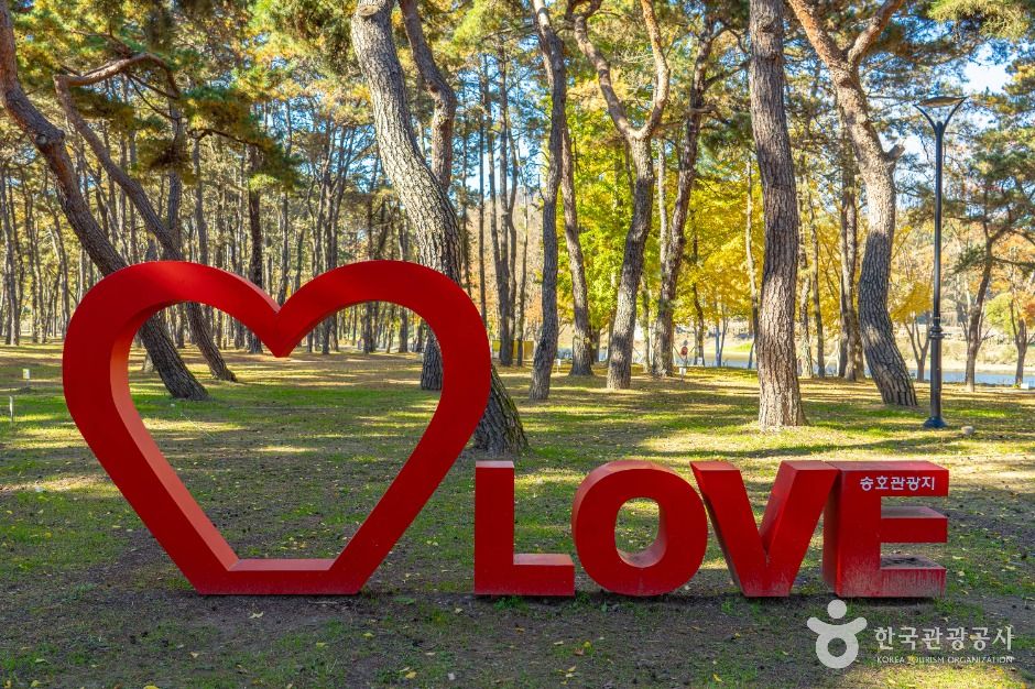 thumbnail-송호리송림-8