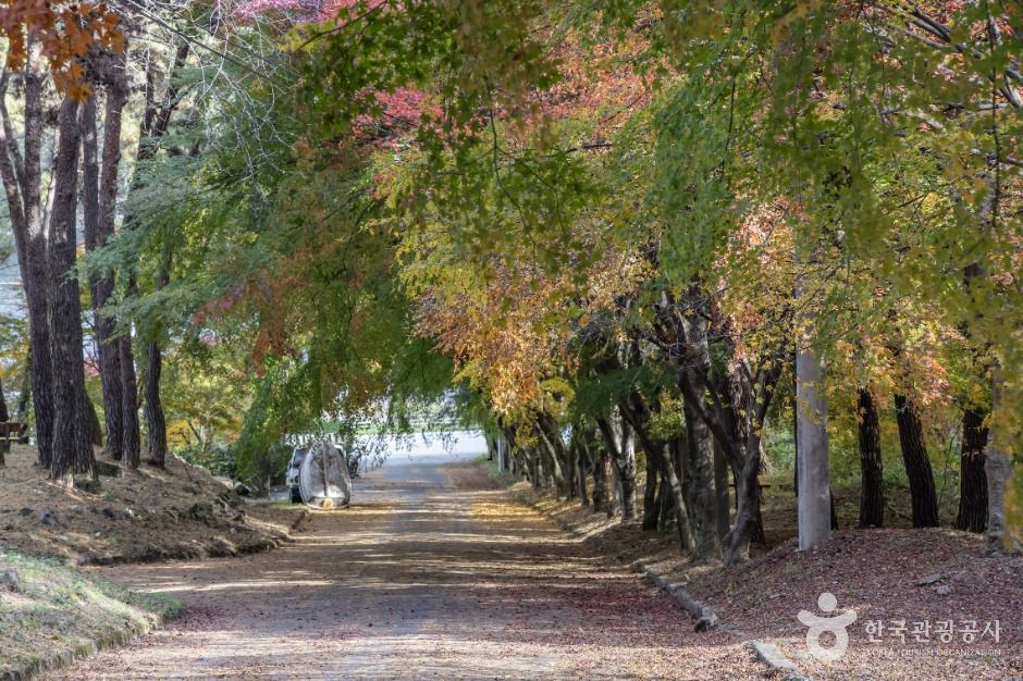 thumbnail-추월산-3