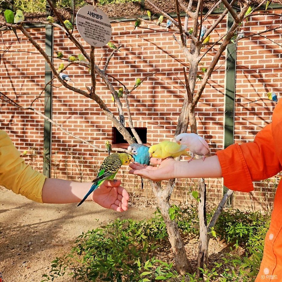 thumbnail-이월드-8