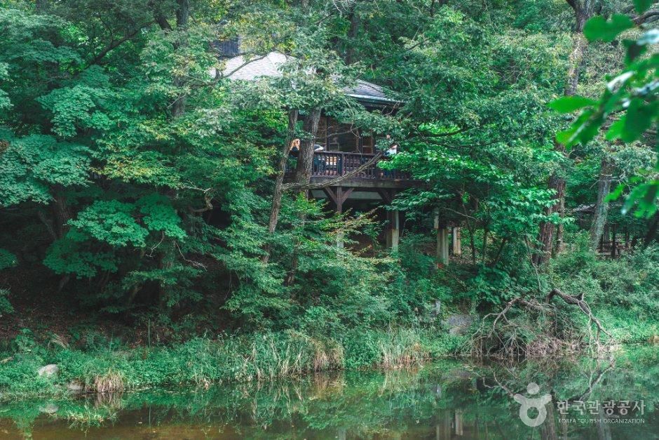 thumbnail-국립수목원-21