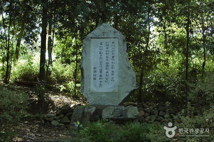 Sajik Park (Gwangju) (사직공원 - 광주)