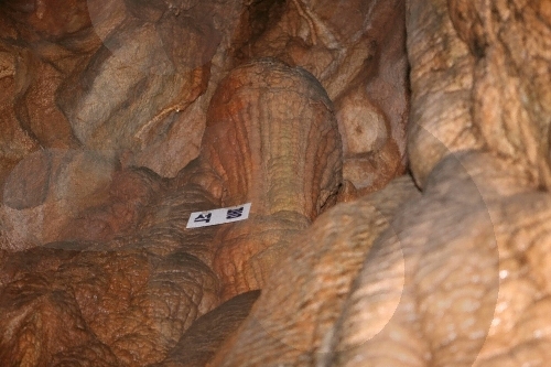 丹陽 泉洞洞窟（단양 천동동굴）