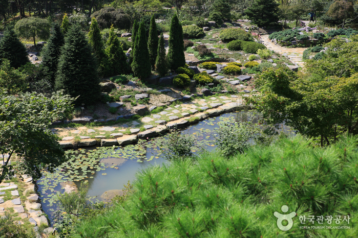 Hantaek Botanical Garden (한택식물원)