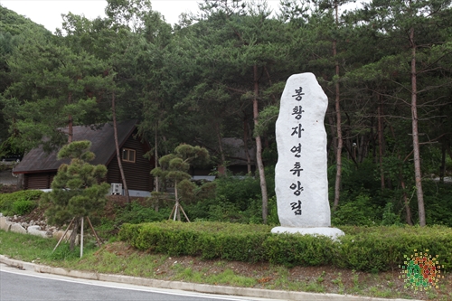 봉황자연휴양림 이미지