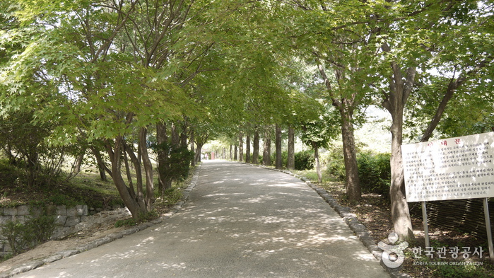부석사(영주) 사진5