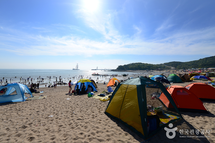 Wangsan Beach (왕산해수욕장)