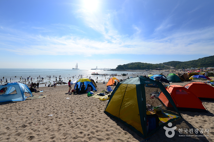 해변을 가득 메운 텐트들