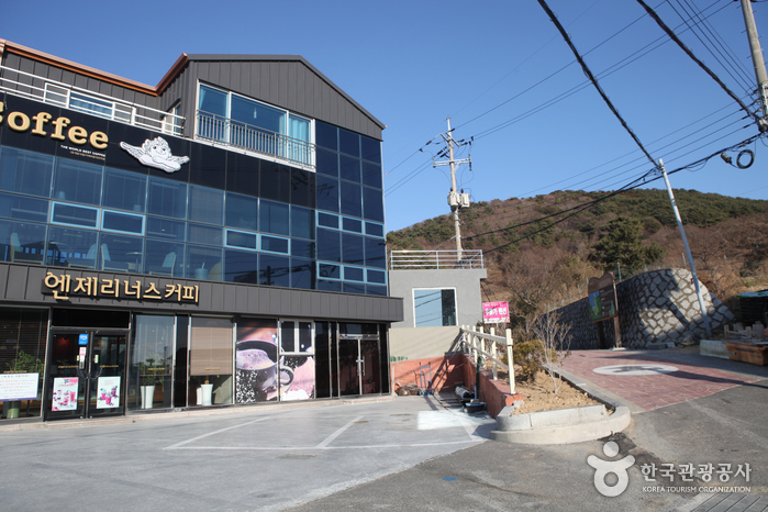 바람의 언덕 사진9