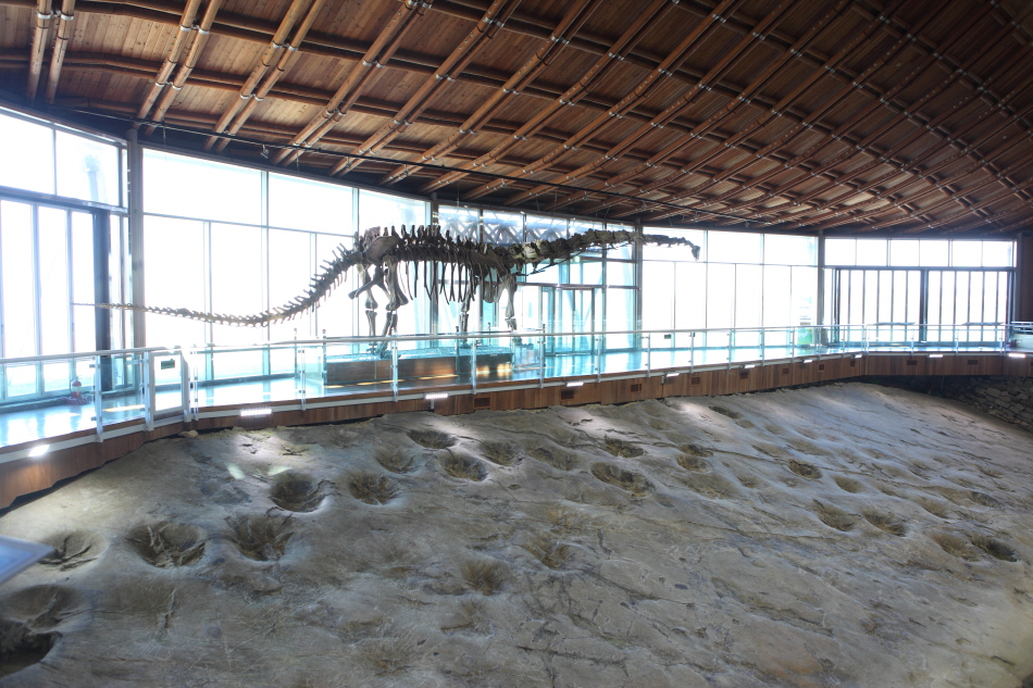 마멘키사우루스 골격과 대형 공룡 발자국 화석이 있는 3보호각