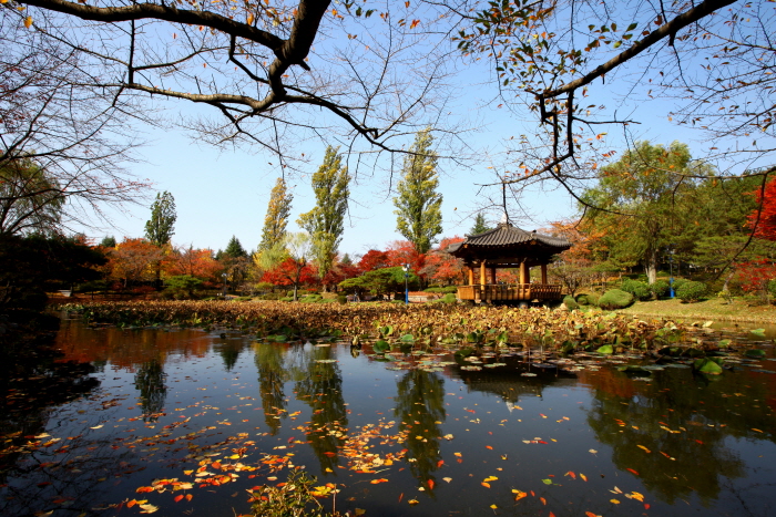 보문정 (경주) 사진2