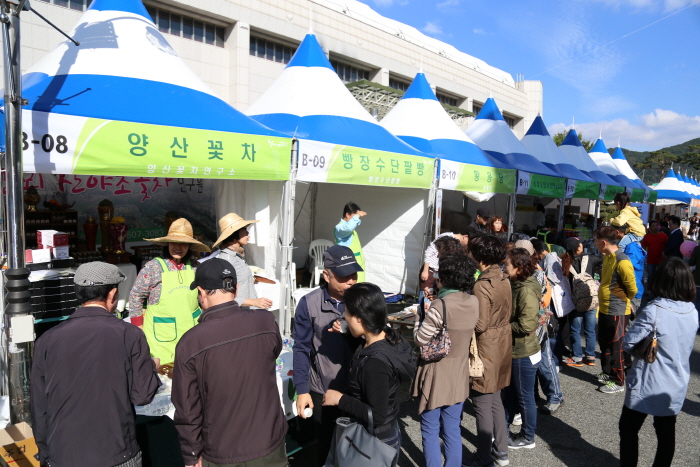 양산삽량문화축전 20192