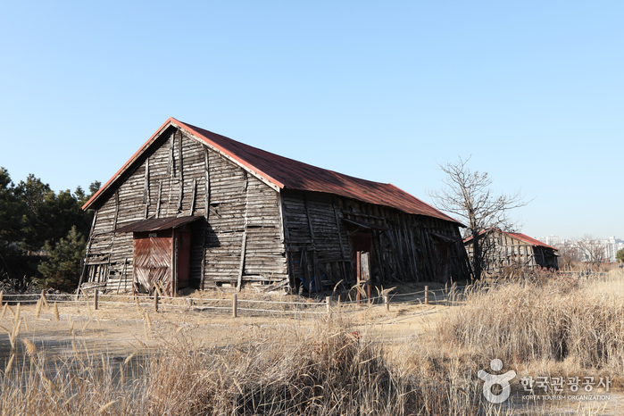 thumbnail-Sorae Marsh Ecological Park (소래습지생태공원)-4