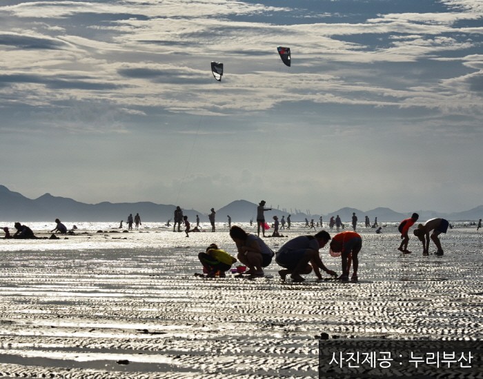 多大浦海水浴場(다대포해수욕장)3