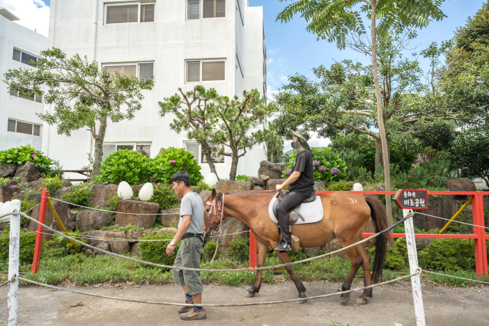 男女老少都喜欢的骑马体验